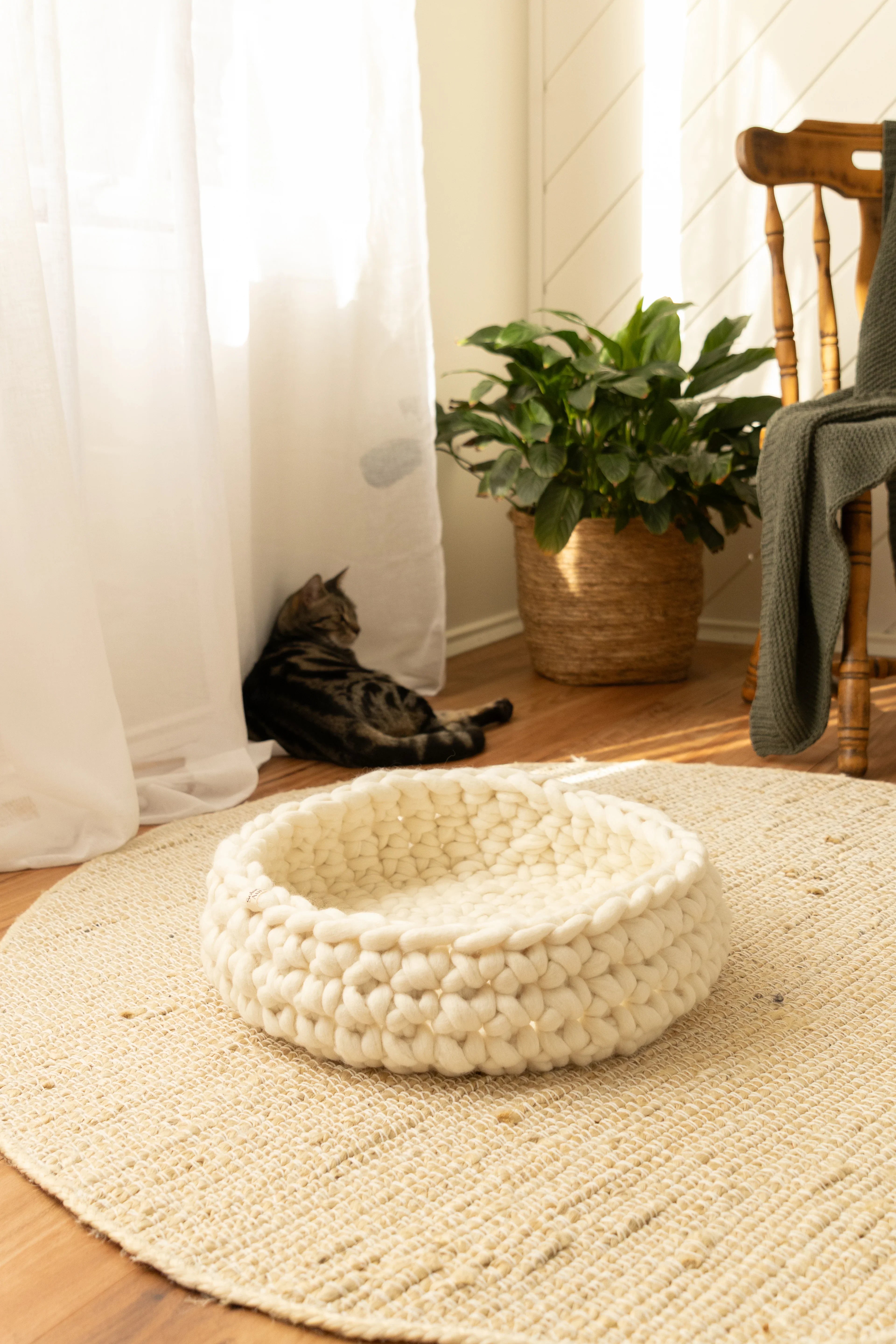 Solace Aura Natural White cat bed made from merino wool, styled on a round jute rug in a sunlit interior, with the empty cat bed in the foreground and a relaxed tabby cat resting near sheer curtains, a woven plant basket, and a wooden chair in the background