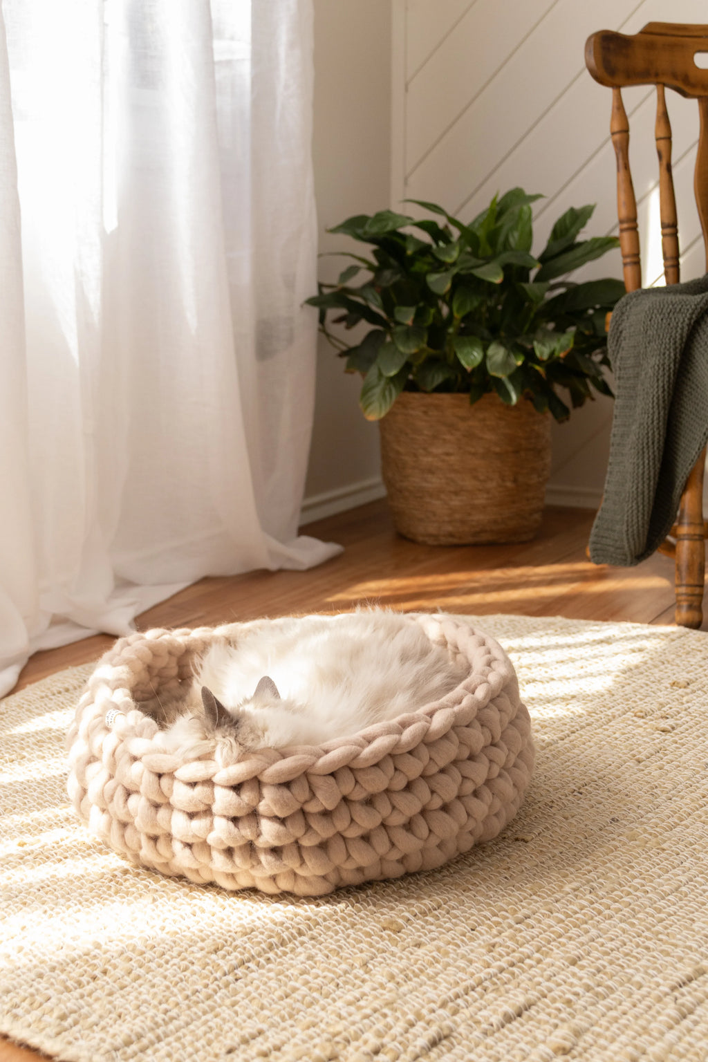 Solace Aura beige cat bed made from merino wool, styled on a round woven jute rug with a cat resting inside, photographed in a warm natural-light interior with sheer curtains, a wooden chair with a draped throw, and a potted plant in the background