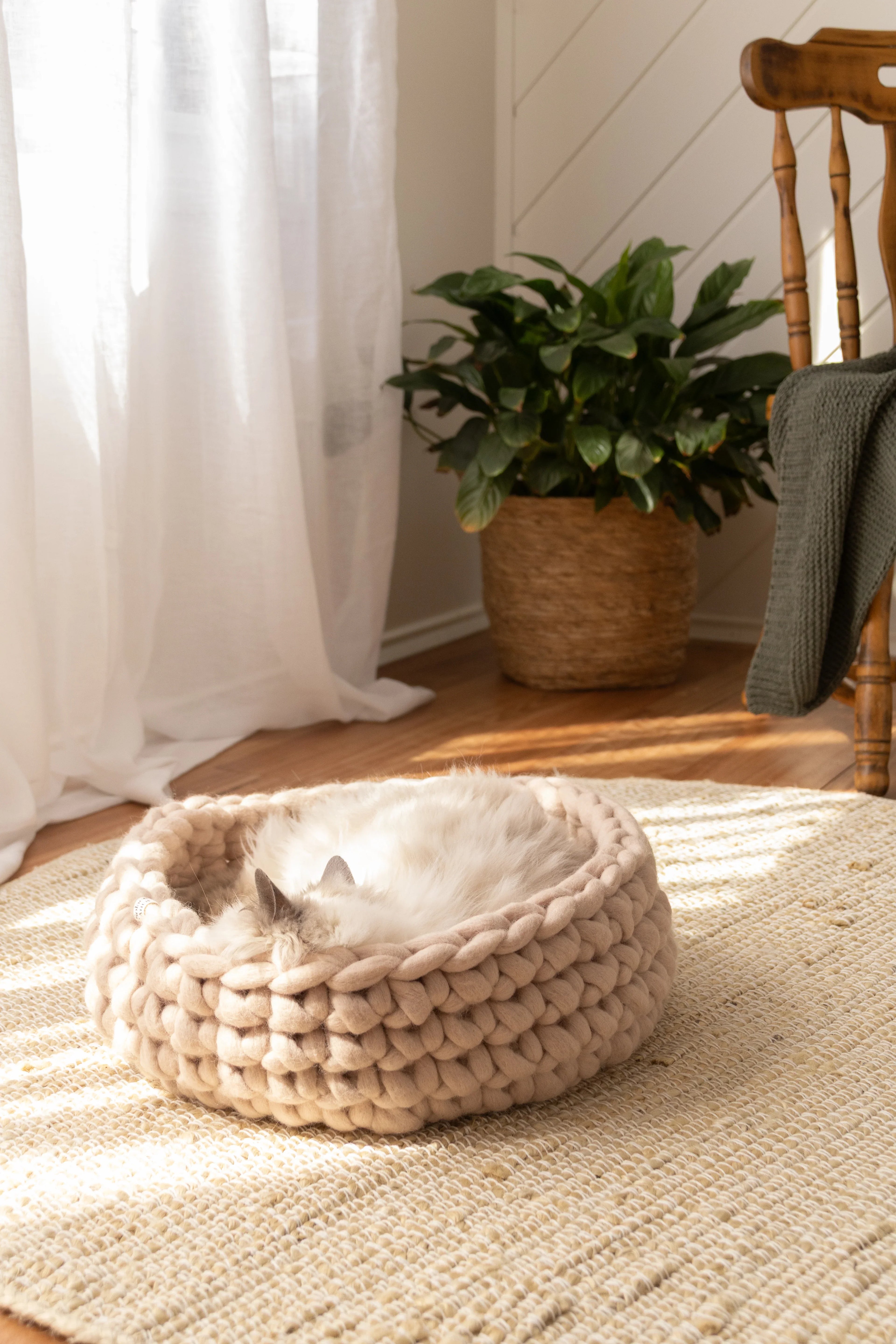 Solace Aura beige cat bed made from merino wool, styled on a round woven jute rug with a cat resting inside, photographed in a warm natural-light interior with sheer curtains, a wooden chair with a draped throw, and a potted plant in the background