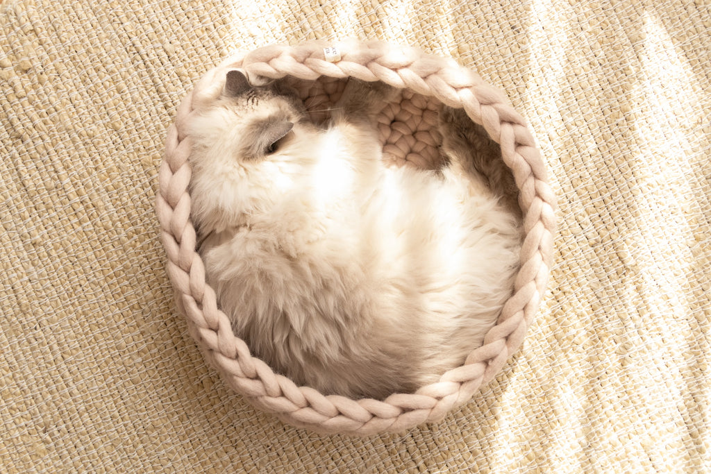 Solace Aura beige cat bed made from natural merino wool, shown from a top-down angle with a cat curled inside the handwoven bed, placed on a round jute rug in a softly styled home interior.