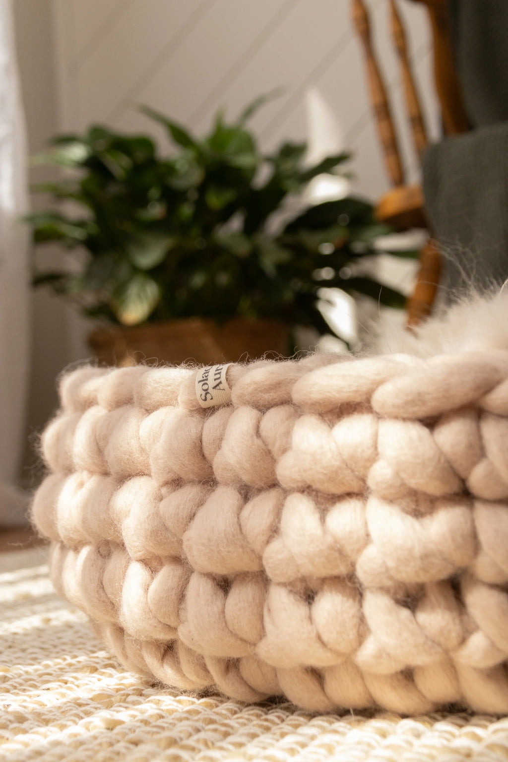 Solace Aura beige cat bed made from merino wool, close-up detail of the chunky knitted texture, photographed on a natural jute rug with soft indoor light and a woven plant basket in the background
