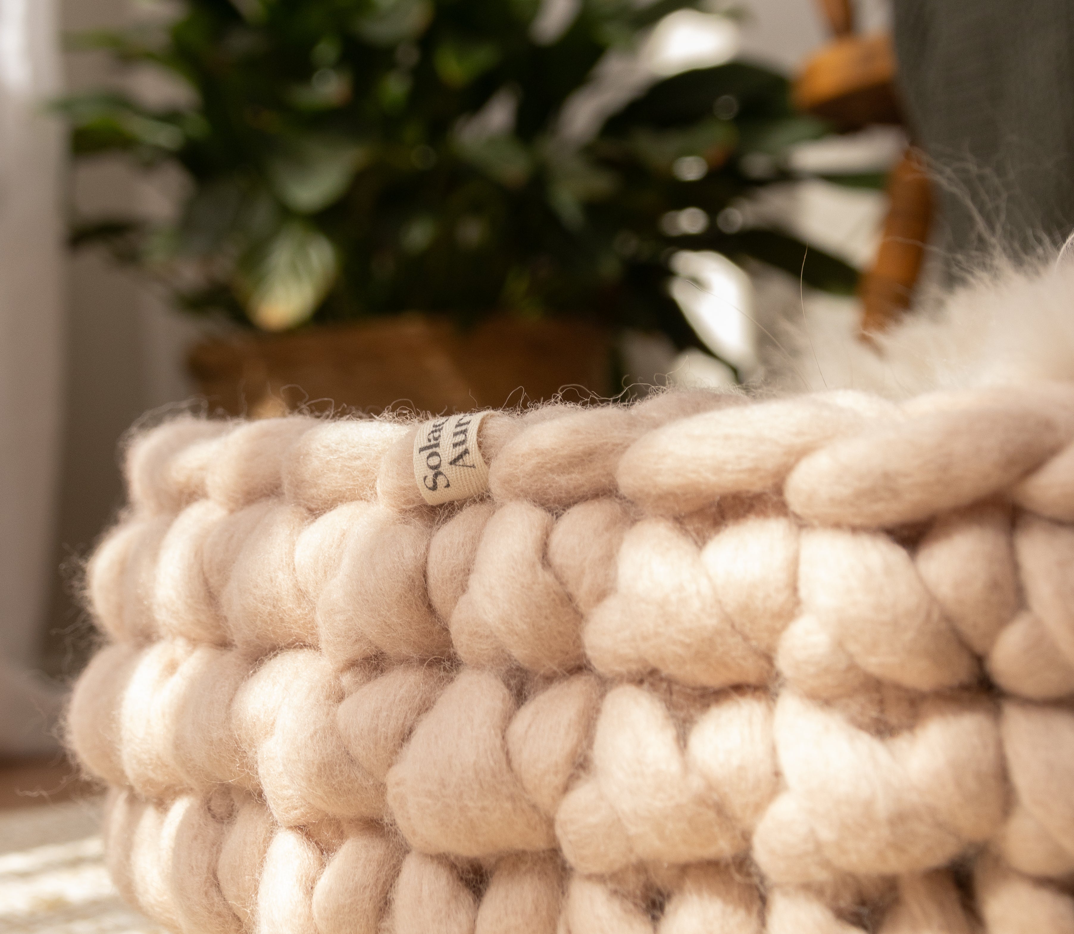 Solace Aura beige cat bed made from merino wool, close-up detail of the chunky knitted texture, photographed on a natural jute rug with soft indoor light and a woven plant basket in the background