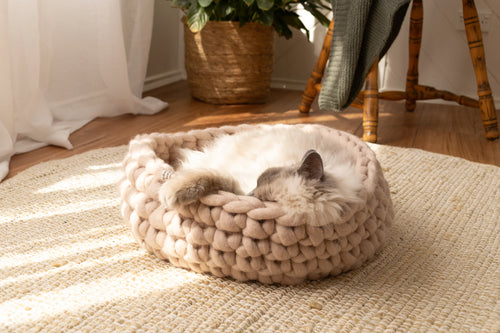 Solace Aura beige cat bed, beige merino wool, round handwoven cat bed with a cat sleeping curled inside, placed on a natural jute rug in a sunlit room with sheer white curtains, wooden floor, potted plant and wooden chair in the background