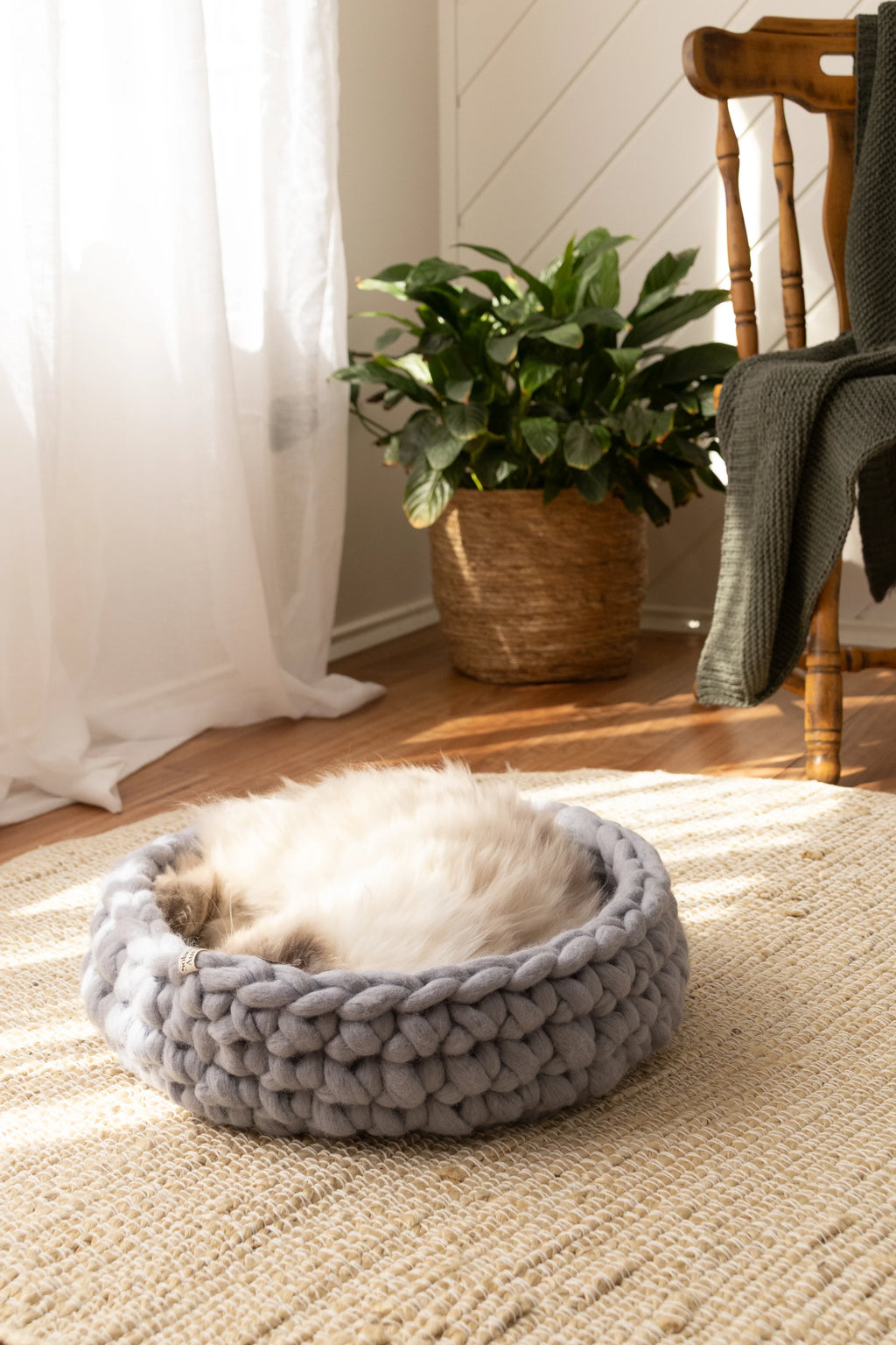 Solace Aura Pebble Grey cat bed made from natural merino wool, photographed on a woven jute rug in a softly lit home interior, with a fluffy cat resting comfortably inside the bed, sheer curtains, timber floor, and a leafy indoor plant in the background.