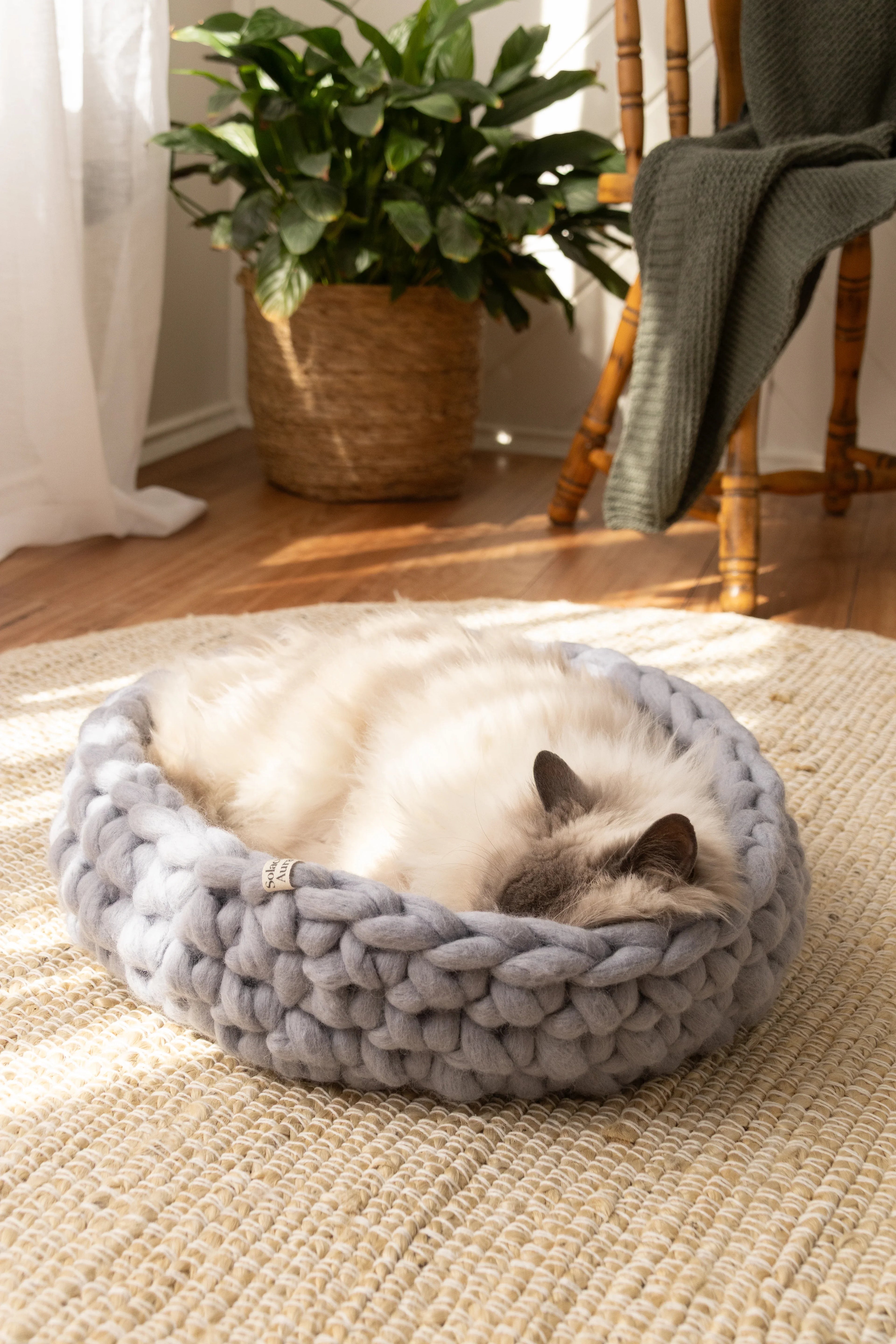 Solace Aura Pebble Grey cat bed in soft grey merino wool, shown on a natural jute rug in a sunlit interior, with a fluffy cat resting inside the bed, sheer white curtains, timber floor, woven plant pot, and wooden chair creating a calm, earthy home setting.