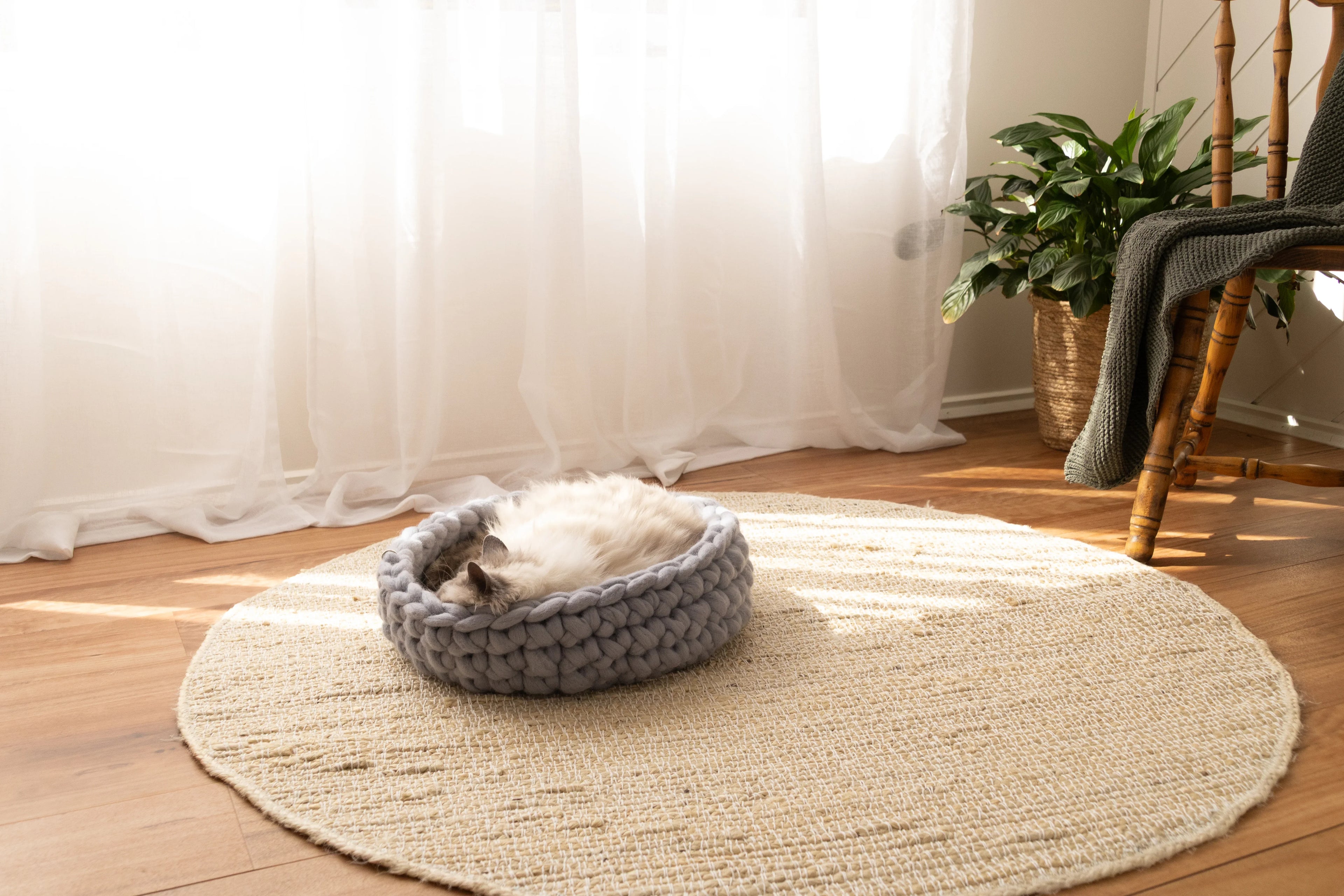 Solace Aura Pebble Grey cat bed made from merino wool, styled on a round jute rug with a sleeping cat inside, set on timber floorboards beside a white sheer curtain, potted green plant and wooden chair in soft natural light.