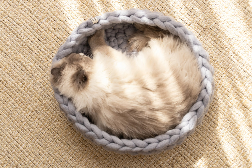 Solace Aura Pebble Grey Merino wool cat bed photographed from above, showing a fluffy long-haired cat curled comfortably inside.