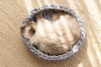 Solace Aura Pebble Grey Merino wool cat bed photographed from above, showing a fluffy long-haired cat curled comfortably inside.