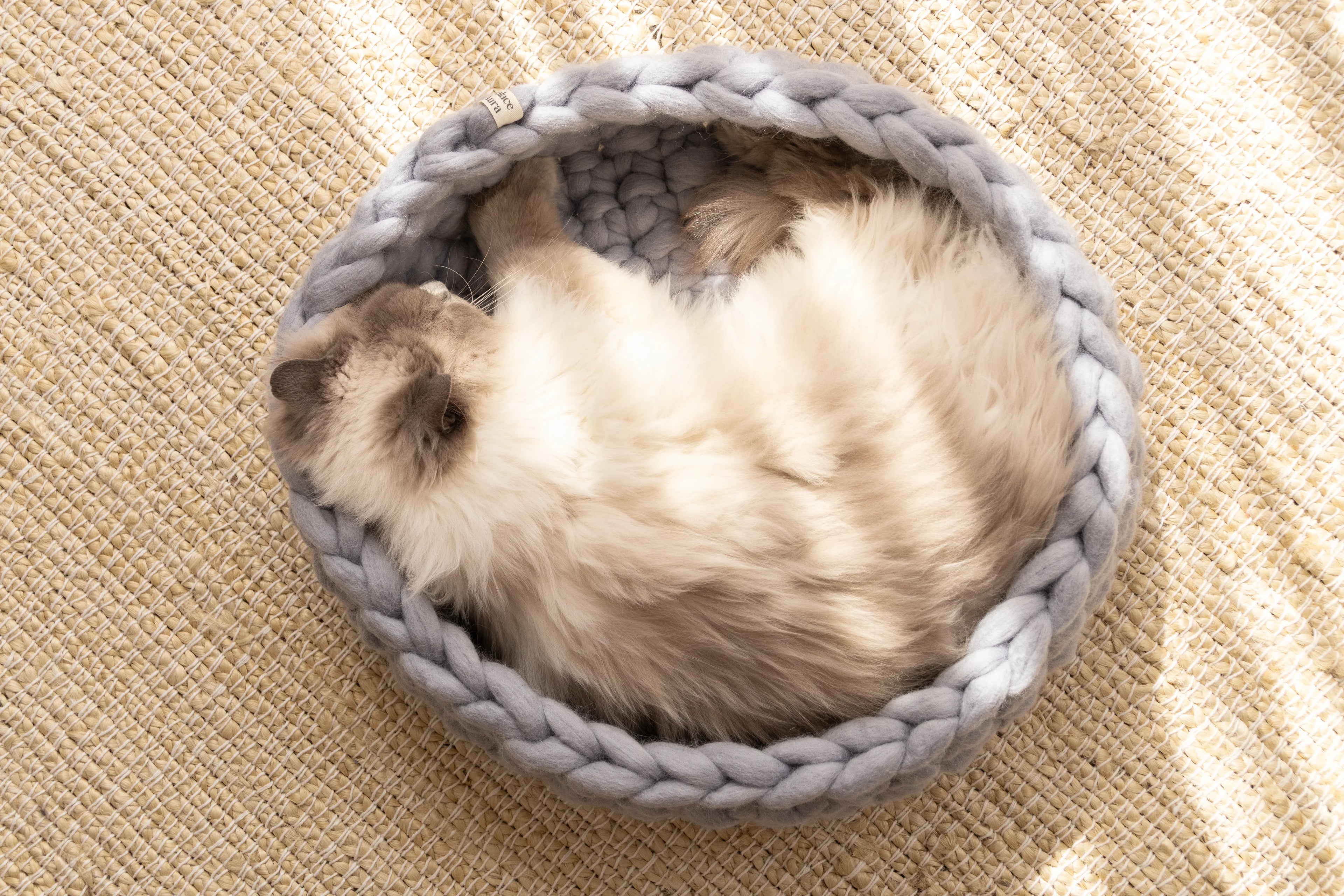 Solace Aura Pebble Grey Merino wool cat bed photographed from above, showing a fluffy long-haired cat curled comfortably inside.