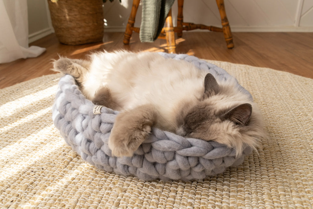Solace Aura Pebble Grey cat bed made from natural merino wool, shown on a woven jute rug with a long-haired cat resting inside the bed. The cat is lying on its side with its head relaxed over the braided edge, paws draped forward, highlighting the soft texture and supportive shape of the hand-crafted wool bed in a calm, sunlit interior setting.